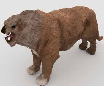 Modern Mammal-ID:460314045