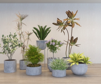 Modern Ground Green Plant Potted Plants-ID:668060069