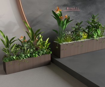 Modern Flower Bed, Flower Bowl, Flower Box-ID:427551039
