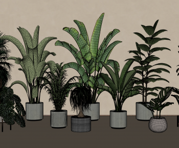 Modern Ground Green Plant Potted Plants-ID:480339566