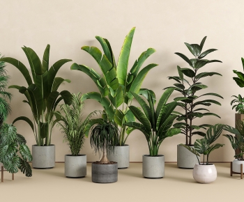 Modern Ground Green Plant Potted Plants-ID:993674991