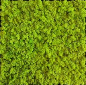 草皮地面-ID:676708944