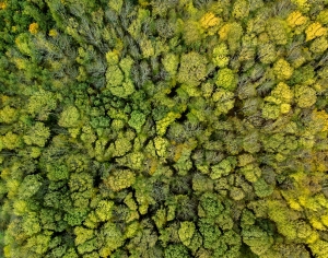 草皮地面-ID:761179927