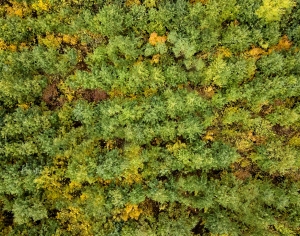 草皮地面-ID:112955098