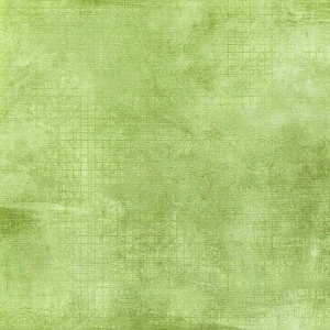 草皮地面-ID:188328035