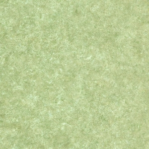 草皮地面-ID:610232119