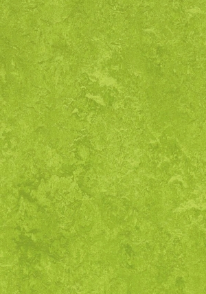 草皮地面-ID:239253048