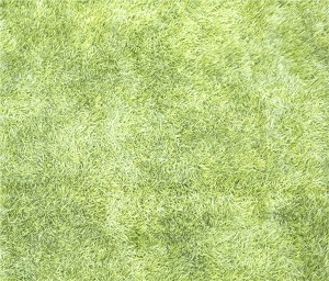 ModernGrass