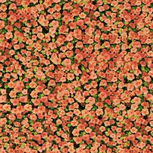 花卉花丛-ID:132442959