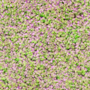 花卉花丛-ID:686348926