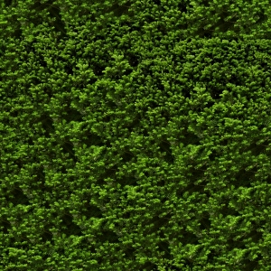 草皮地面-ID:870203976