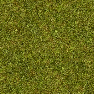 现代草皮地面-ID:575769907