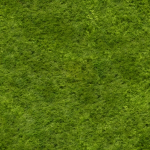 现代草皮地面-ID:194535978
