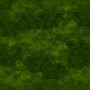 现代草皮地面-ID:165682082