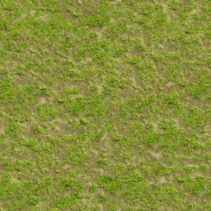 户外草皮地面-ID:388751984
