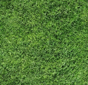 户外草皮地面-ID:642677079