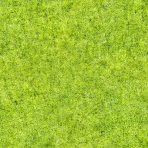 户外草皮地面-ID:738297949