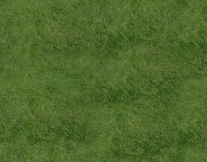 户外草皮地面-ID:882472991
