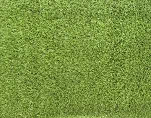 ModernGrass