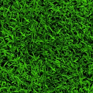 ModernGrass