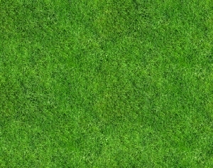 ModernGrass