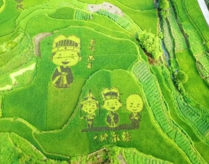 绿色田地贴图-ID:765285979