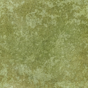 草皮地面-ID:150823127