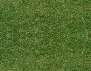现代草皮地面-ID:874064922