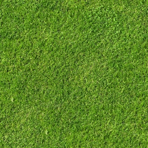现代草皮地面-ID:949776892