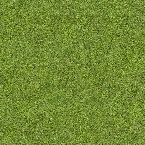 ModernGrass