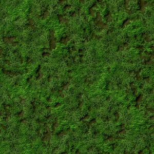 现代草皮地面-ID:381894116