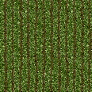 ModernGrass