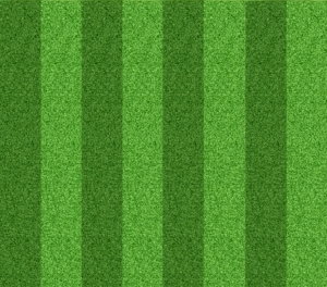 ModernGrass