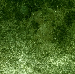 现代草皮地面-ID:118062977