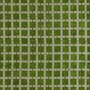 ModernGrass