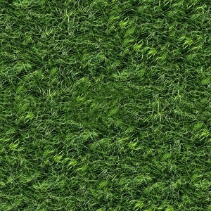 ModernGrass
