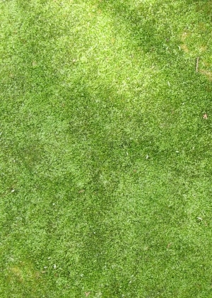 现代草皮地面-ID:147730112