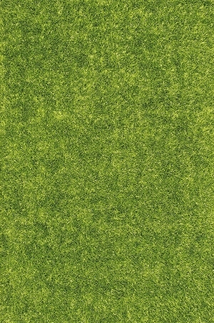 ModernGrass