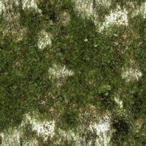 现代草皮地面-ID:617527016