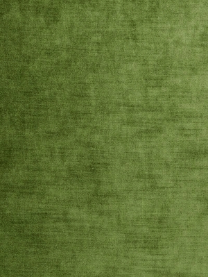 草皮地面-ID:384923932