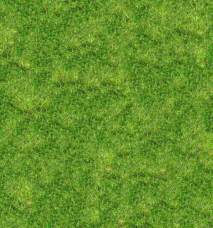 现代草皮地面-ID:615315917