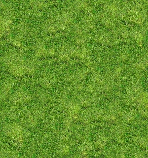 ModernGrass