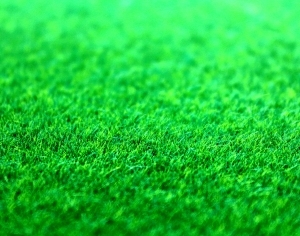 ModernGrass
