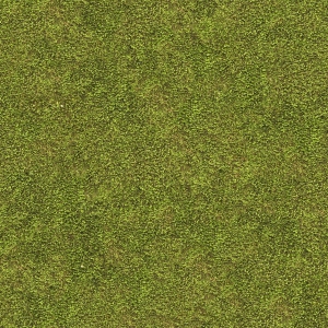 现代草皮地面-ID:814747109