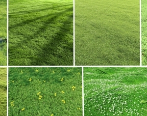 ModernGrass