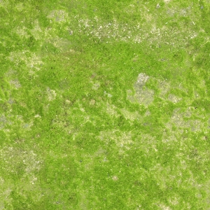 现代草皮地面-ID:864382032