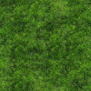 ModernGrass