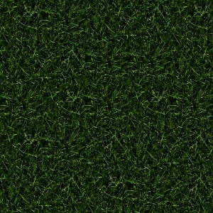 ModernGrass