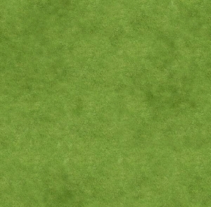 草皮地面-ID:312788016