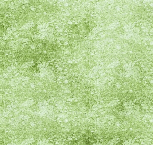 草皮地面-ID:503779891
